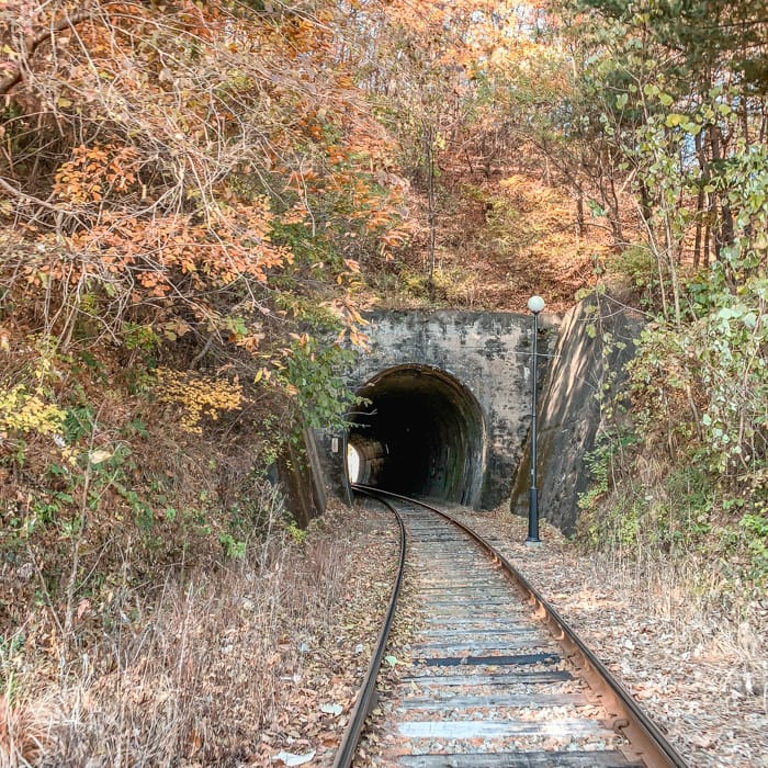Gangchon Rail Park Autumn tunnel