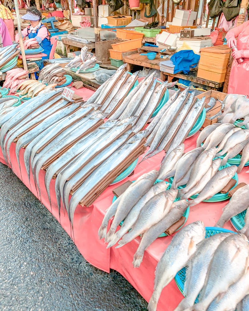 Busan Jagalchi Fish Market